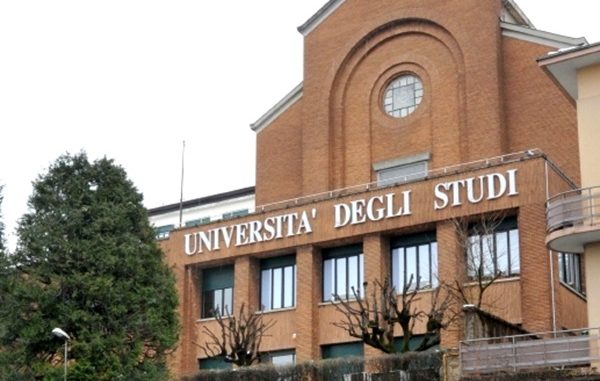 insubria giovani progetti