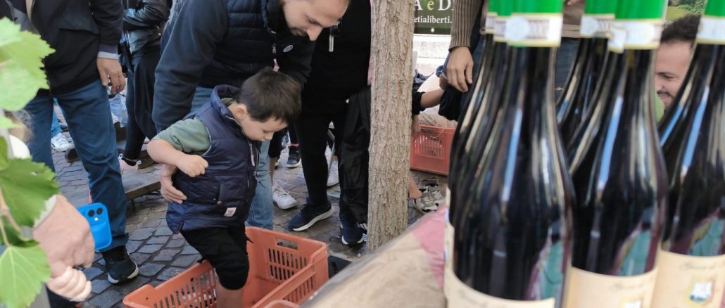 gallarate festa uva pigiatura