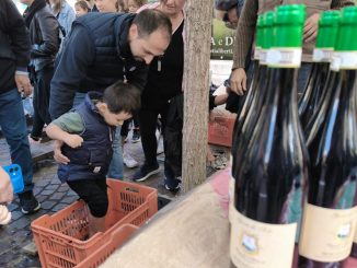 gallarate festa uva pigiatura