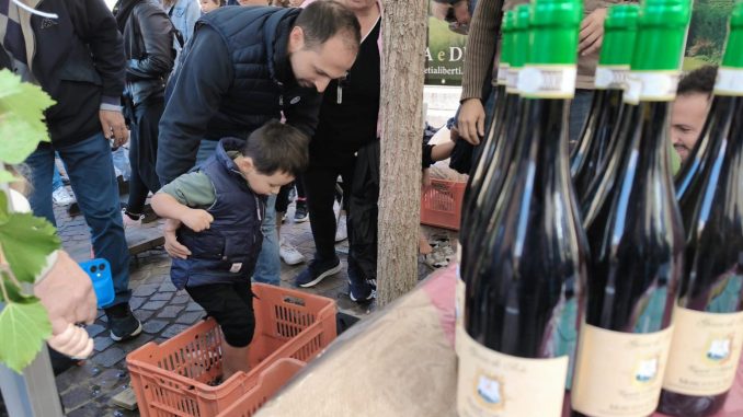 gallarate festa uva pigiatura