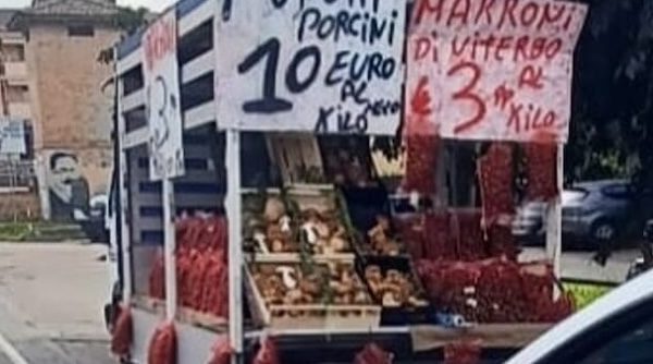 Mercallo avvelenato funghi gravissimo