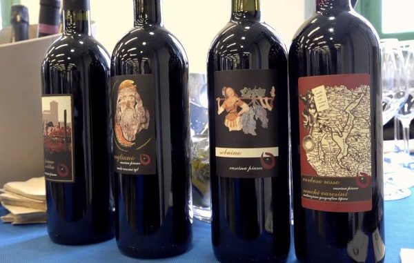 vini dai laghi varese