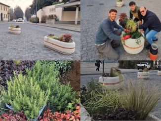 Albizzate piazza nuove fioriere