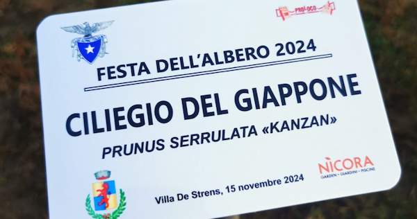 Gazzada festa albero villa