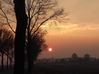 bel tempo nebbia zero 03