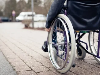 monti regione disabili