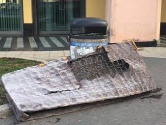 sanvittoreolona pulizia rifiuti cani
