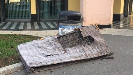 sanvittoreolona pulizia rifiuti cani