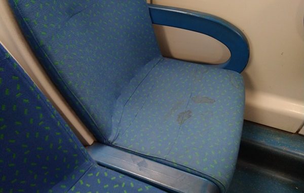 trenord sporcizia maleducazione