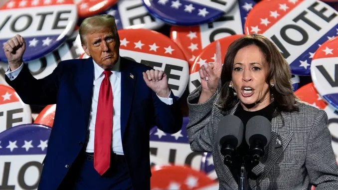 lodi usa trump harris
