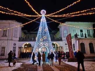 varese provincia natale albero