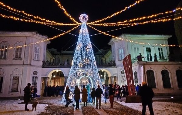 varese provincia natale albero
