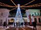 varese provincia natale albero
