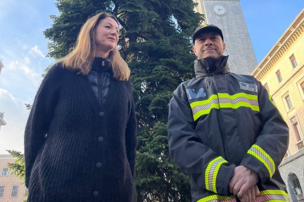 vigili fuoco albero varese