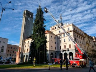 vigili fuoco albero varese