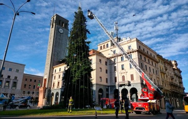 vigili fuoco albero varese