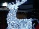Cardano festa natale programma
