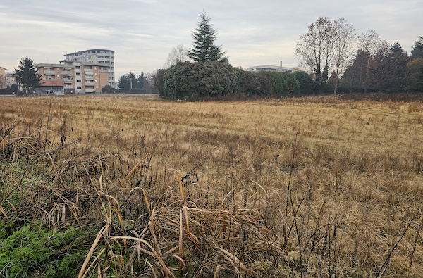 Gallarate bosco via ortella