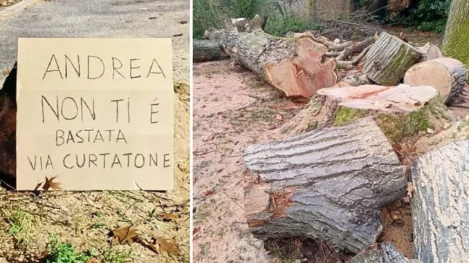 gallarate alberi sindaco cialtroni