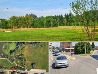 cassano parco città rotonda lidl