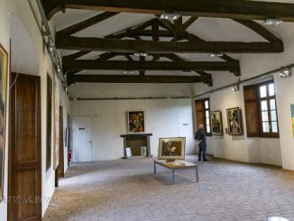 mostra castello legnano vaccaro