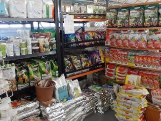 Lonate negozio animali sequestro