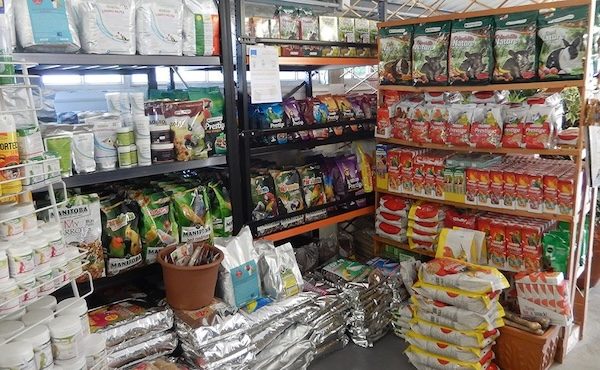 Lonate negozio animali sequestro