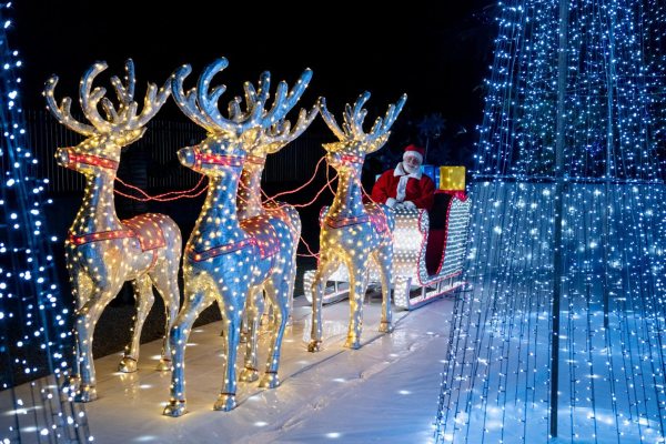 riaccese lucine natale leggiuno
