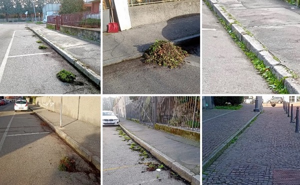 lonate pulizia erbacce sap