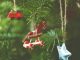 sumirago villaggio natale albero 02