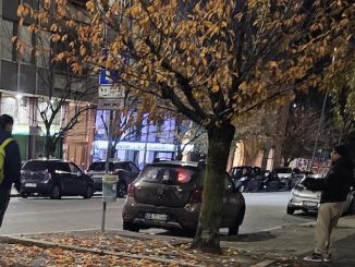 Gallarate nuove piantumazioni alberi