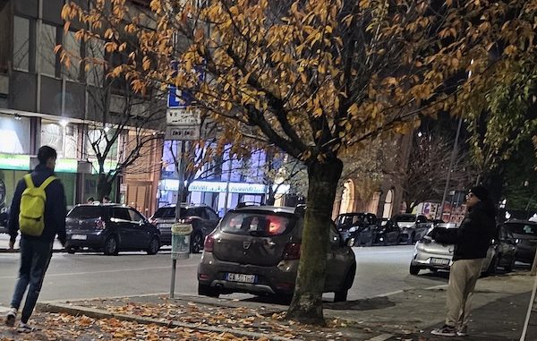 Gallarate nuove piantumazioni alberi