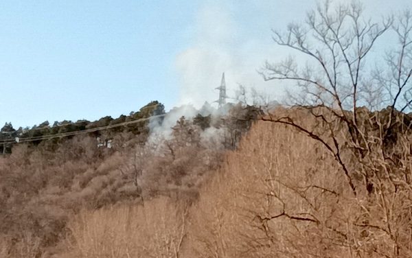 Incendio boschi somma gallarate