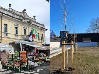 Sesto calende marna mercato