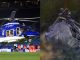 Leonardo causa presidente leicester