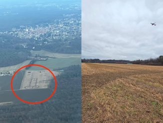malpensa saluto fallico