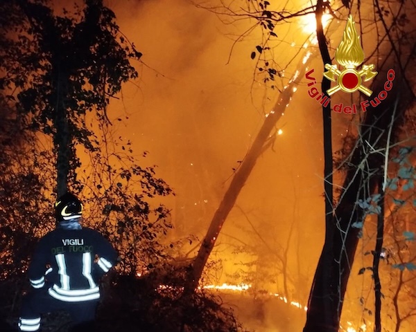 Incendio boschi somma gallarate