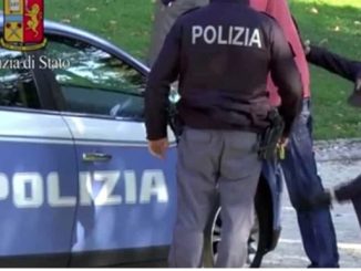 sicurezza meloni busto