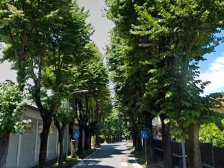Gallarate viale dei tigli