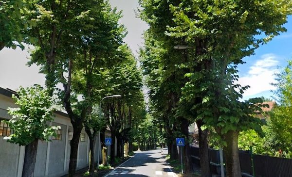 Gallarate viale dei tigli