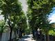 Gallarate viale dei tigli