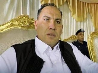 bottini governo realpolitik