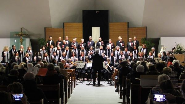 ensemble amadeus