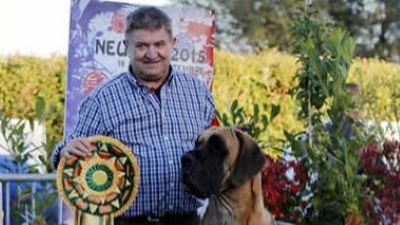 cerromaggiore veterinario vittima cani
