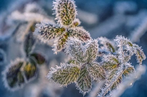 aria fredda sole gelate