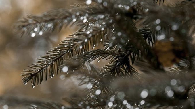 coperto acquazzoni nevicate valanghe