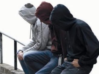 peruzzotti stanieri criminalità