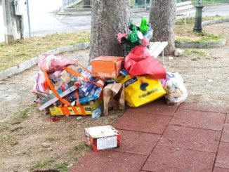 decoro urbano viggiù sanzioni