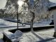 forcora neve pista sci