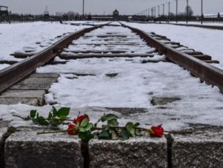 giorno memoria auschwitz